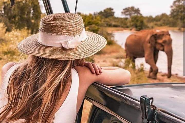 Jeep safari at Minneriya National Park, Srilanka